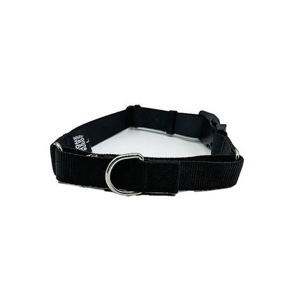 Come Here Buddy Black Martingale Collar