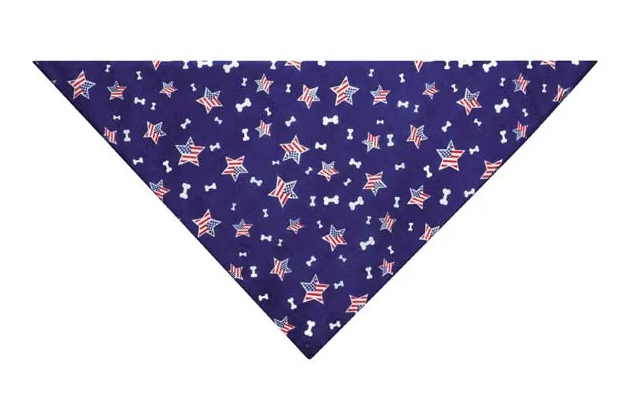 Aria "Bone in the USA" Bandana