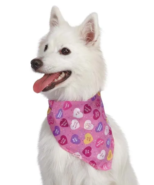 Aria "Conversation Hearts" Bandana