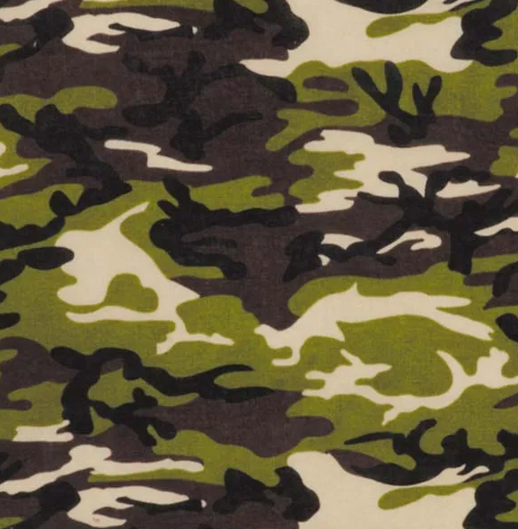 Aria "Camo" Bandana