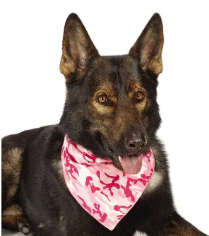 Aria "Camo" Bandana