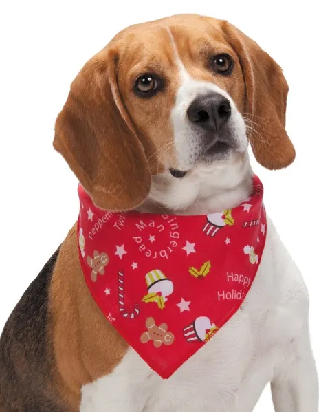 Aria "Peppermint Twist" Bandana