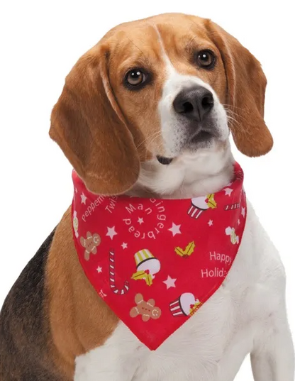 Aria "Peppermint Twist" Bandana