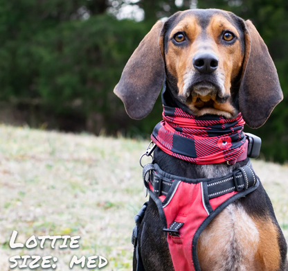 Pup Scruff Buffalo Plaid