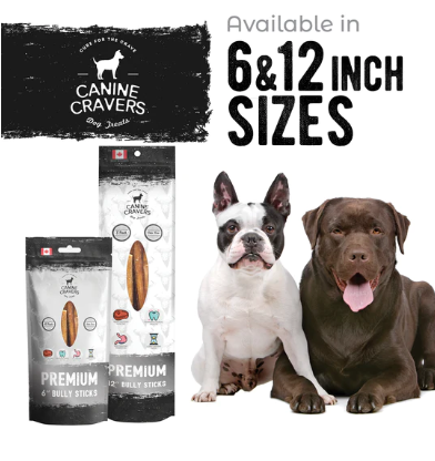 Canine Cravers Premium Beef Bully Stick