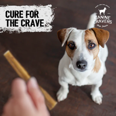 Canine Cravers Premium Beef Bully Stick