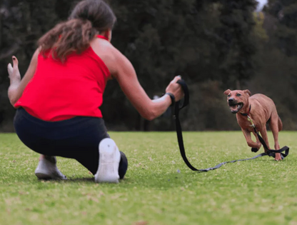 Canny Recall Leash