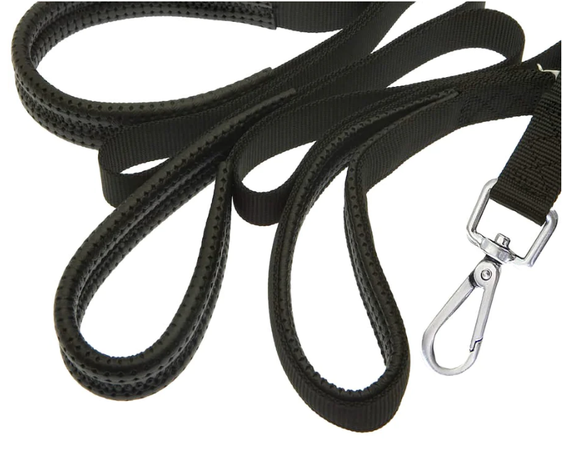 Canny Recall Leash