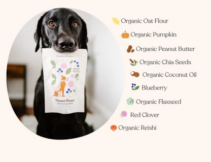 Botanical Bones Flower Power Superfood Dog Treats