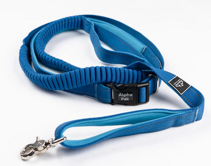 Cascades Metallic Blue Stretchable Runner Dog Leash