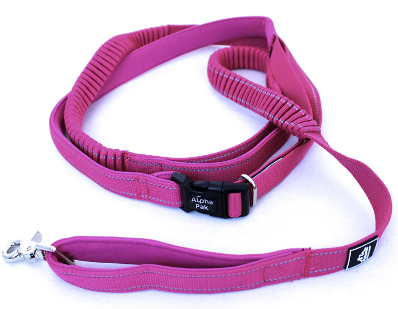 Cascades Plum Boysenberry Stretchable Runner Dog Leash